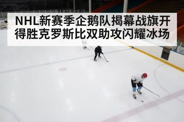 NHL新赛季企鹅队揭幕战旗开得胜克罗斯比双助攻闪耀冰场
