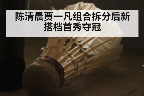 陈清晨贾一凡组合拆分后新搭档首秀夺冠